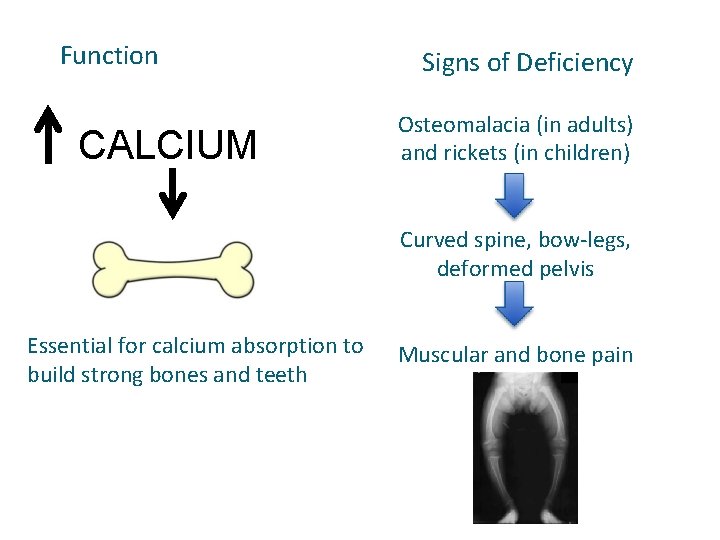 Function CALCIUM Signs of Deficiency Osteomalacia (in adults) and rickets (in children) Curved spine,