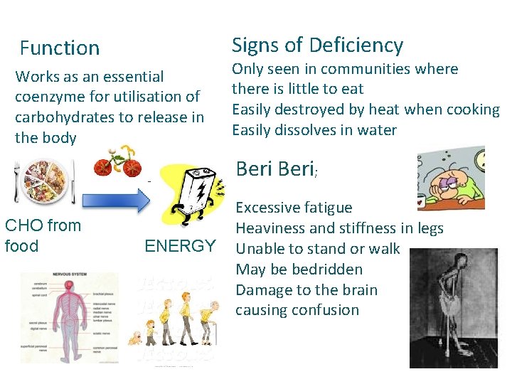 Signs of Deficiency Function Works as an essential coenzyme for utilisation of carbohydrates to