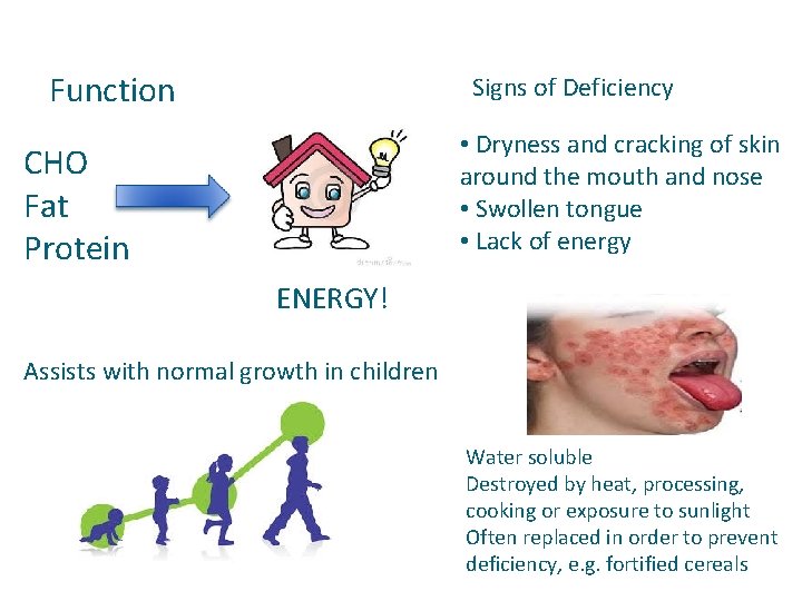 Function Signs of Deficiency • Dryness and cracking of skin around the mouth and