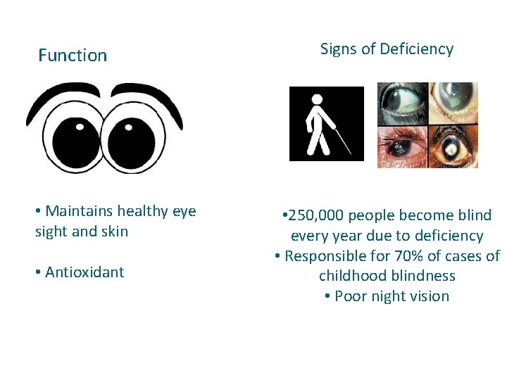 Function • Maintains healthy eye sight and skin • Antioxidant Signs of Deficiency •