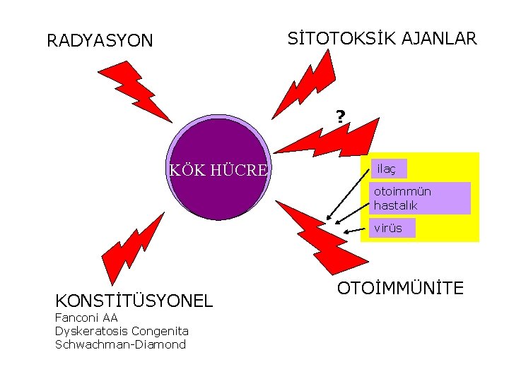 SİTOTOKSİK AJANLAR RADYASYON ? KÖK HÜCRE ilaç otoimmün hastalık virüs KONSTİTÜSYONEL Fanconi AA Dyskeratosis