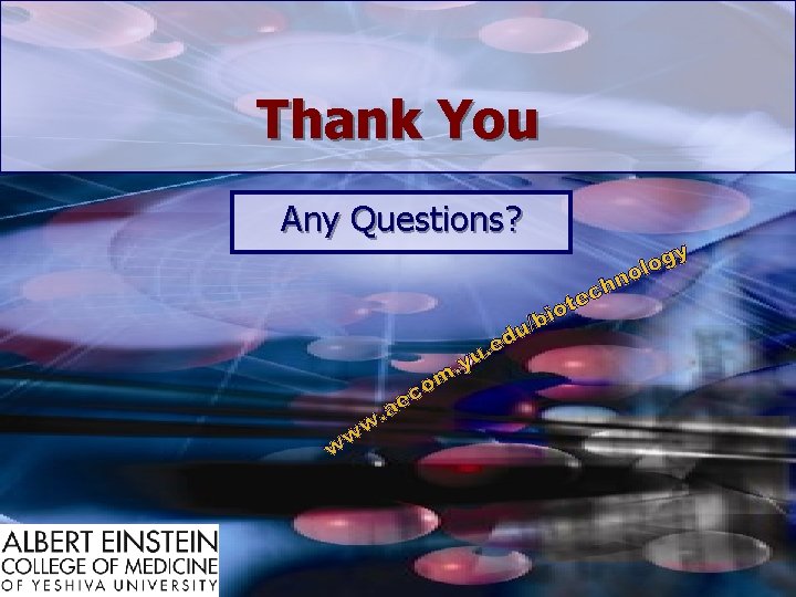 Thank You Any Questions? 