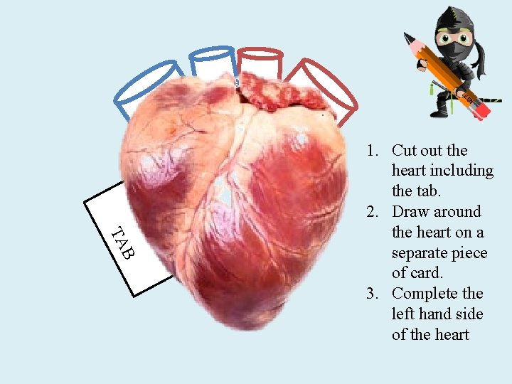 B TA 1. Cut out the heart including the tab. 2. Draw around the