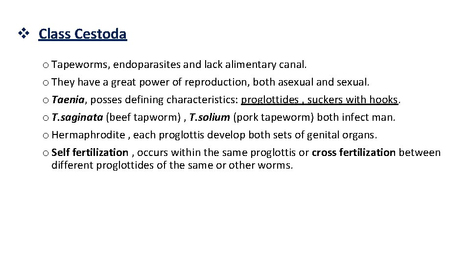 v Class Cestoda o Tapeworms, endoparasites and lack alimentary canal. o They have a