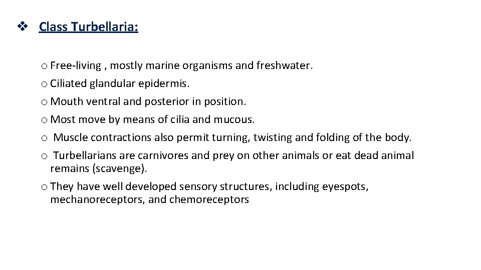 v Class Turbellaria: o Free-living , mostly marine organisms and freshwater. o Ciliated glandular