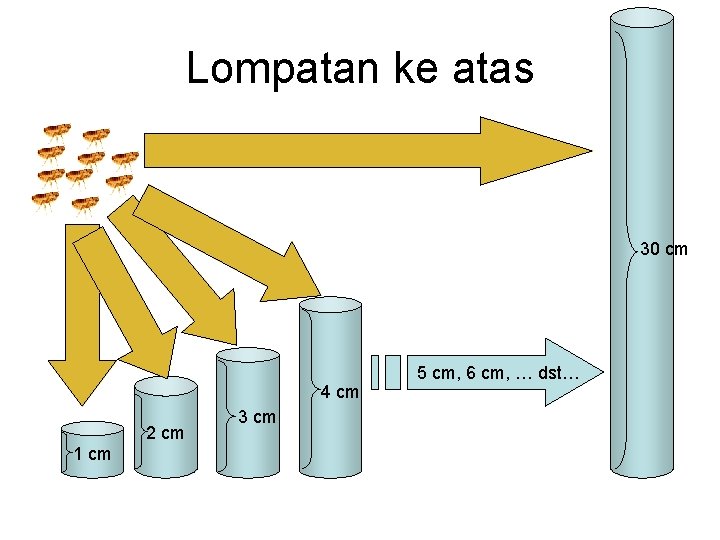 Lompatan ke atas 30 cm 4 cm 2 cm 1 cm 3 cm 5