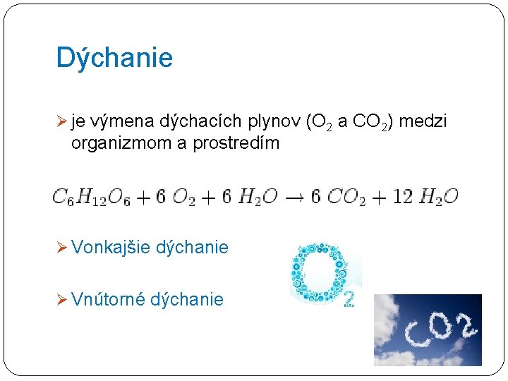 Dýchanie Ø je výmena dýchacích plynov (O 2 a CO 2) medzi organizmom a