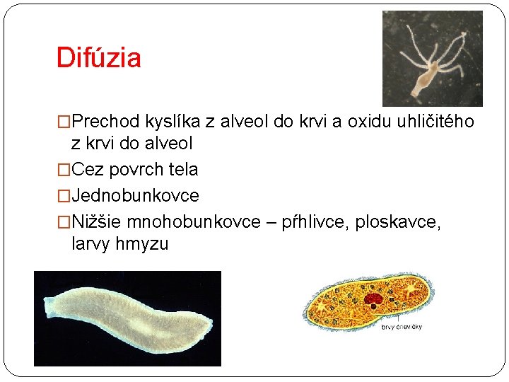Difúzia �Prechod kyslíka z alveol do krvi a oxidu uhličitého z krvi do alveol