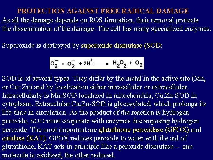 PROTECTION AGAINST FREE RADICAL DAMAGE As all the damage depends on ROS formation, their