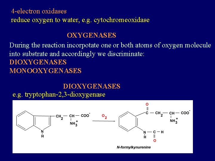 4 -electron oxidases reduce oxygen to water, e. g. cytochromeoxidase OXYGENASES During the reaction