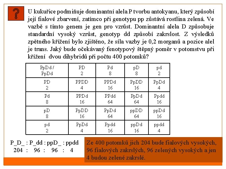 U kukuřice podmiňuje dominantní alela P tvorbu antokyanu, který způsobí její fialové zbarvení, zatímco