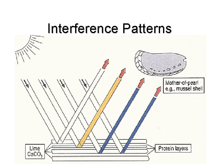 Interference Patterns 