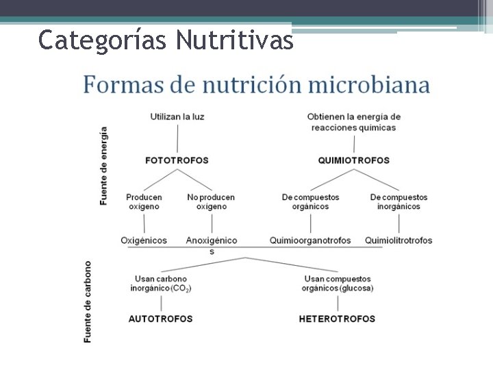 Categorías Nutritivas 