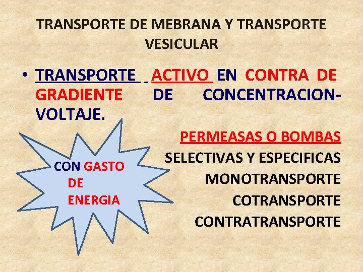 TRANSPORTE DE MEBRANA Y TRANSPORTE VESICULAR • TRANSPORTE ACTIVO EN CONTRA DE GRADIENTE DE