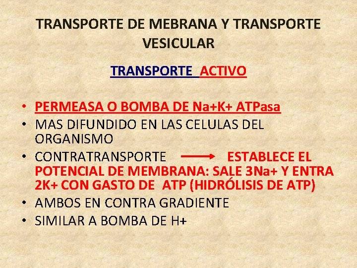 TRANSPORTE DE MEBRANA Y TRANSPORTE VESICULAR TRANSPORTE ACTIVO • PERMEASA O BOMBA DE Na+K+