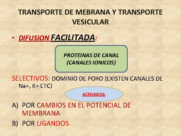 TRANSPORTE DE MEBRANA Y TRANSPORTE VESICULAR • DIFUSION FACILITADA: PROTEINAS DE CANAL (CANALES IONICOS)