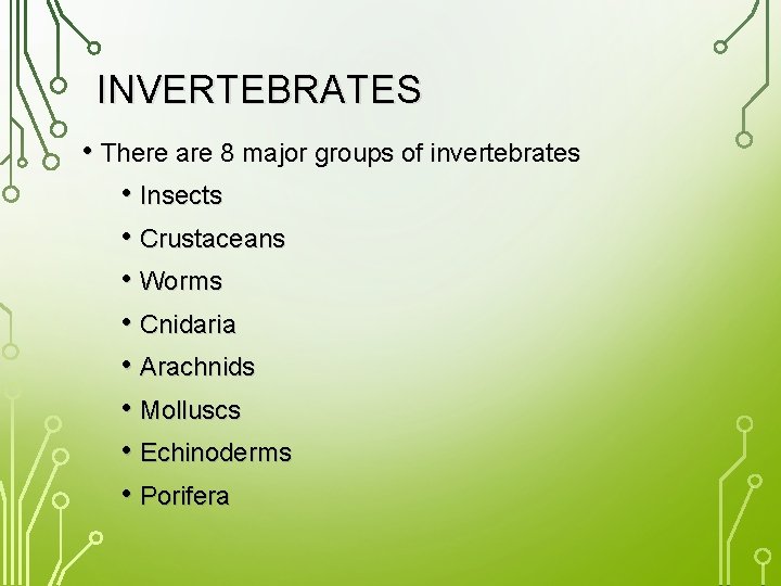 INVERTEBRATES • There are 8 major groups of invertebrates • Insects • Crustaceans •