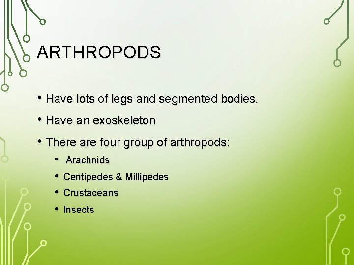 ARTHROPODS • Have lots of legs and segmented bodies. • Have an exoskeleton •