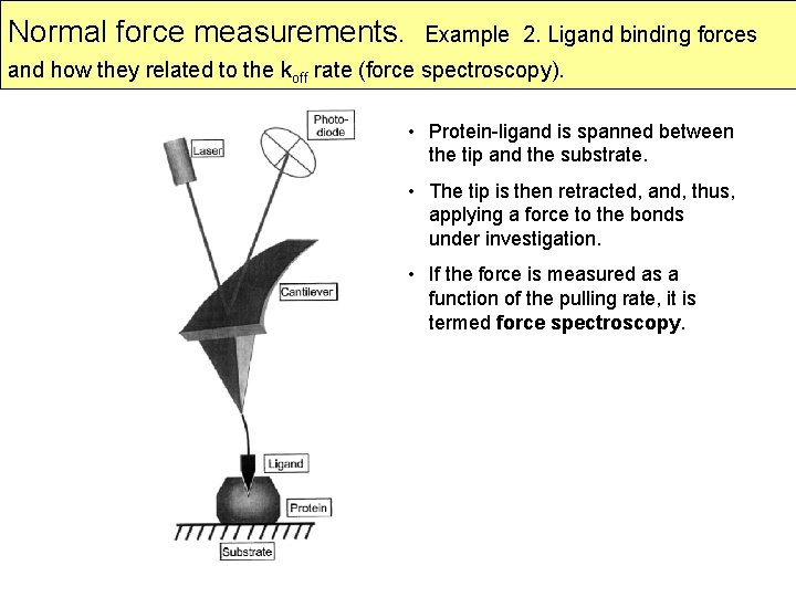Normal force measurements. Example 2. Ligand binding forces and how they related to the