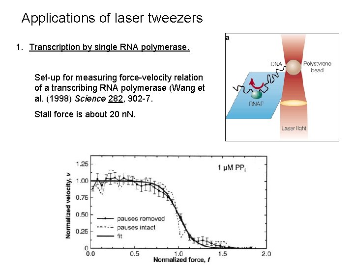 Applications of laser tweezers 1. Transcription by single RNA polymerase. Set-up for measuring force-velocity