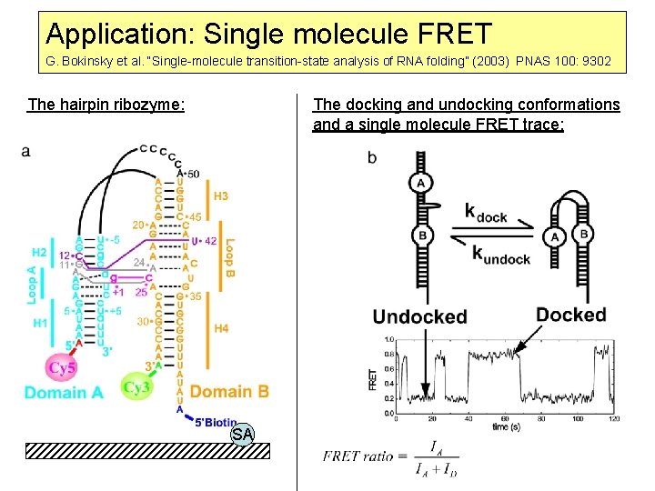 Application: Single molecule FRET G. Bokinsky et al. “Single-molecule transition-state analysis of RNA folding”