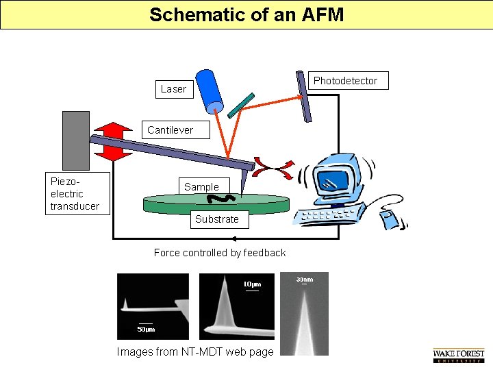Schematic of an AFM Photodetector Laser Cantilever Piezoelectric transducer Sample Substrate Force controlled by