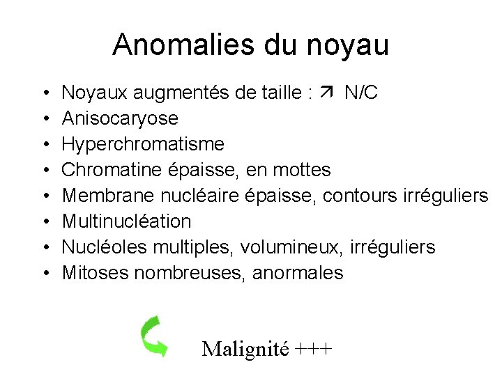 Anomalies du noyau • • Noyaux augmentés de taille : N/C Anisocaryose Hyperchromatisme Chromatine