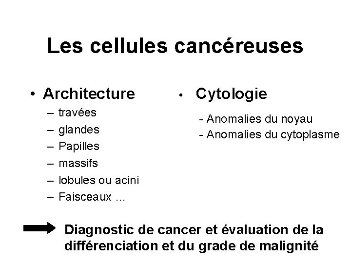 Les cellules cancéreuses • Architecture – – – travées glandes Papilles massifs lobules ou