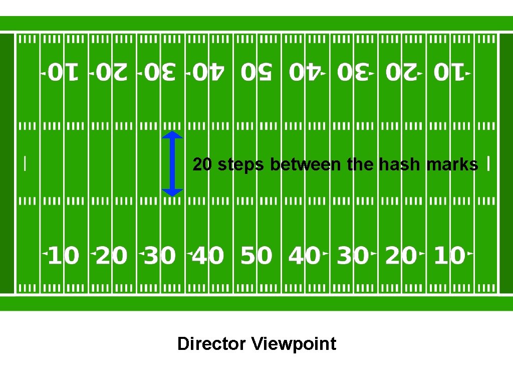 20 steps between the hash marks Director Viewpoint 