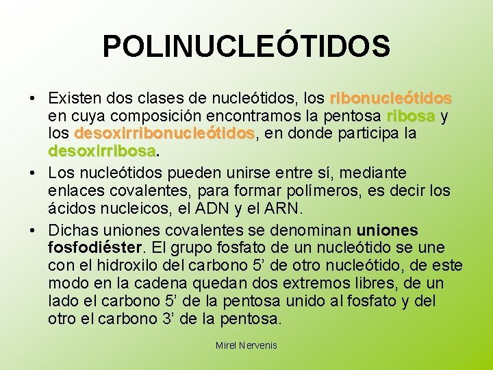 POLINUCLEÓTIDOS • Existen dos clases de nucleótidos, los ribonucleótidos en cuya composición encontramos la