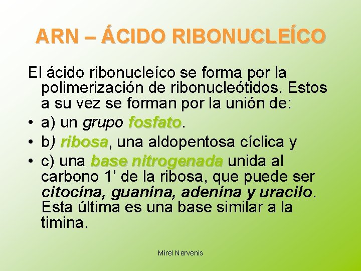 ARN – ÁCIDO RIBONUCLEÍCO El ácido ribonucleíco se forma por la polimerización de ribonucleótidos.