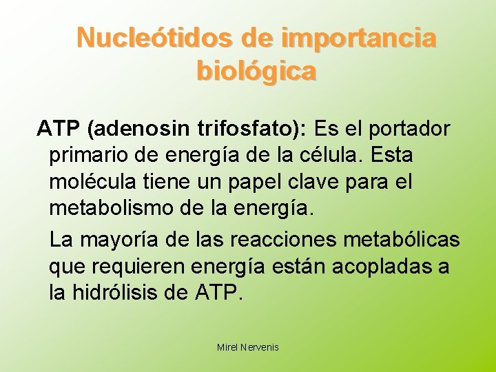 Nucleótidos de importancia biológica ATP (adenosin trifosfato): Es el portador primario de energía de