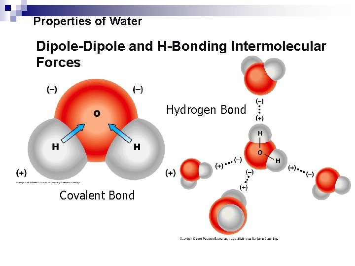 Properties of Water Dipole-Dipole and H-Bonding Intermolecular Forces Hydrogen Bond Covalent Bond 