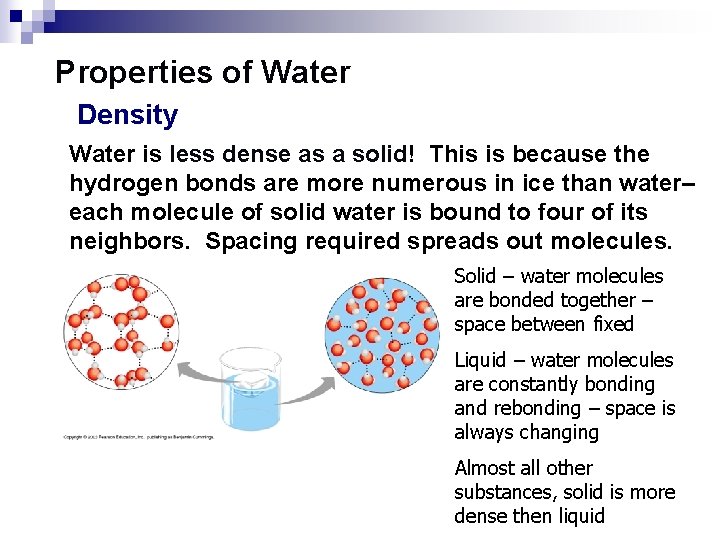 Properties of Water Density Water is less dense as a solid! This is because