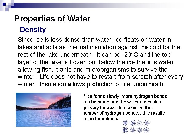 Properties of Water Density Since is less dense than water, ice floats on water