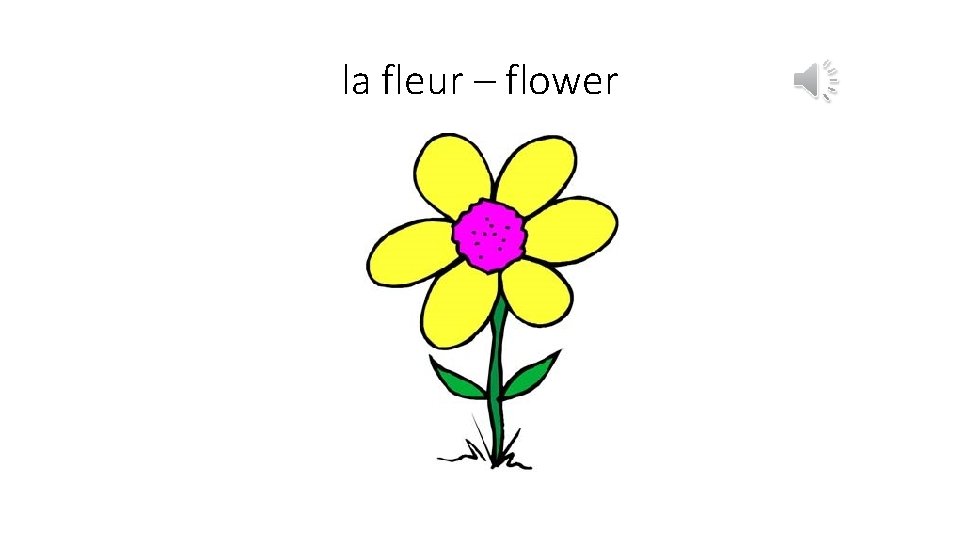 la fleur – flower 