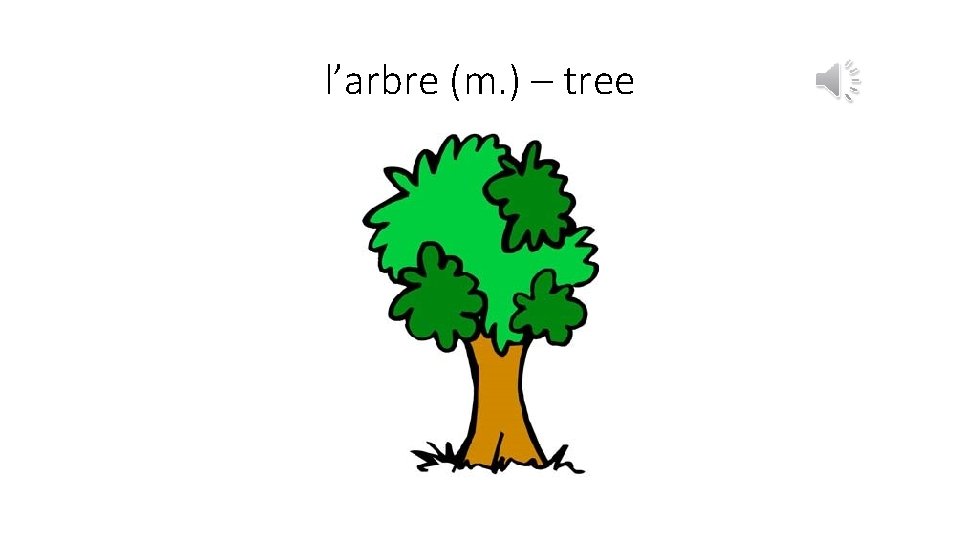 l’arbre (m. ) – tree 