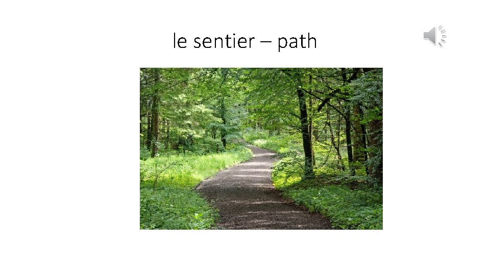le sentier – path 