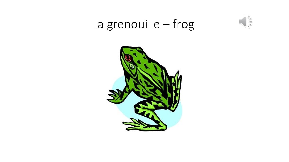 la grenouille – frog 