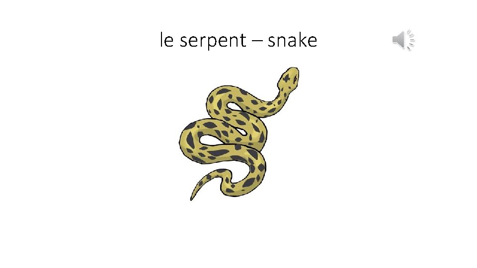 le serpent – snake 