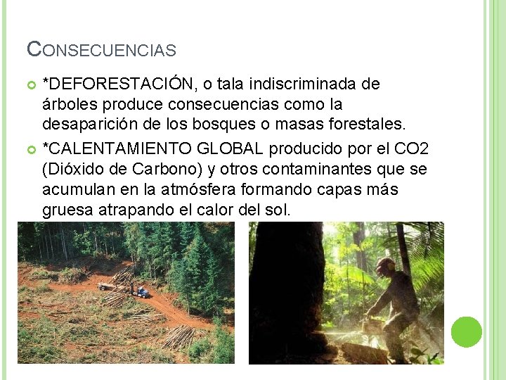 CONSECUENCIAS *DEFORESTACIÓN, o tala indiscriminada de árboles produce consecuencias como la desaparición de los