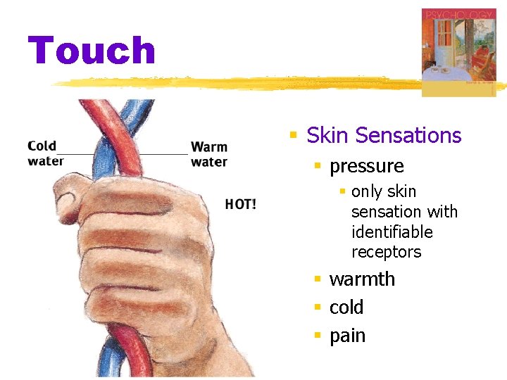 Touch § Skin Sensations § pressure § only skin sensation with identifiable receptors §