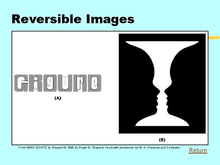 Reversible Images From MIND SIGHTS by Shepard © 1990 by Roger N. Shepard. Used
