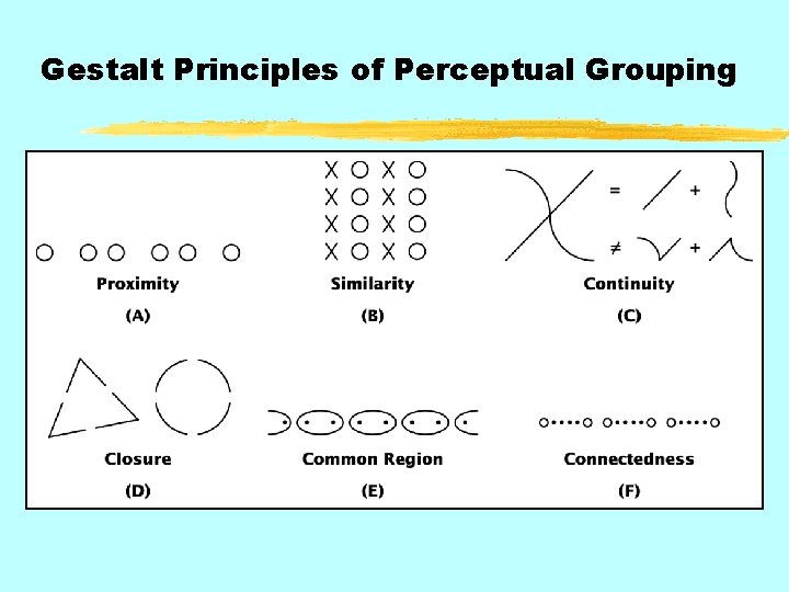 Gestalt Principles of Perceptual Grouping 