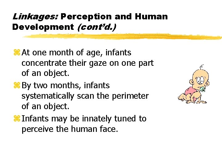 Linkages: Perception and Human Development (cont’d. ) z At one month of age, infants