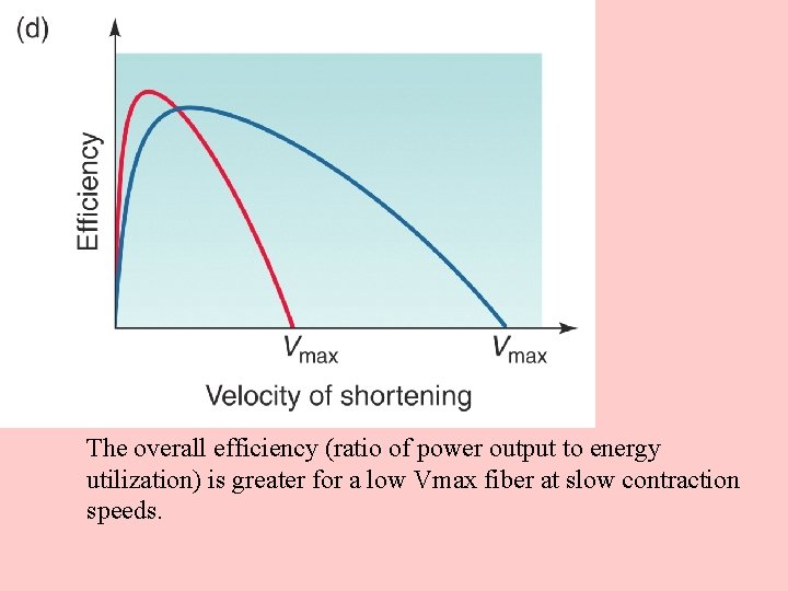 The overall efficiency (ratio of power output to energy utilization) is greater for a