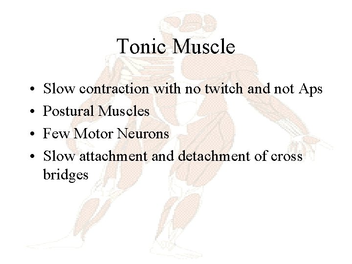 Tonic Muscle • • Slow contraction with no twitch and not Aps Postural Muscles