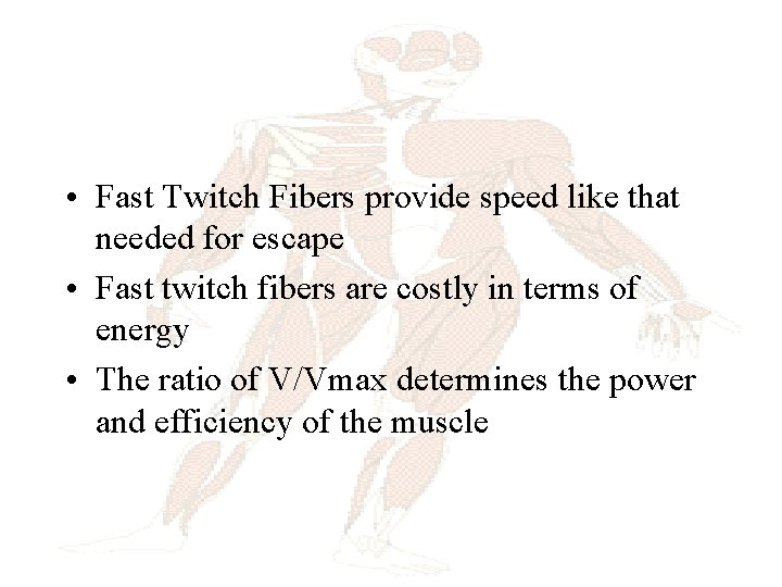  • Fast Twitch Fibers provide speed like that needed for escape • Fast