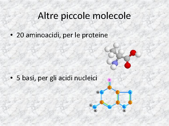 Altre piccole molecole • 20 aminoacidi, per le proteine • 5 basi, per gli