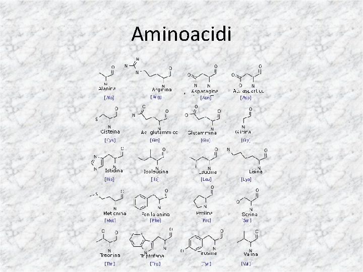 Aminoacidi 
